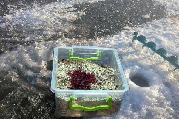 Прикормка для подлещика зимой