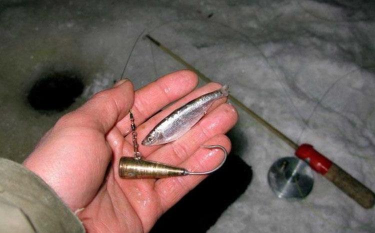 Ловля судака на тюльку