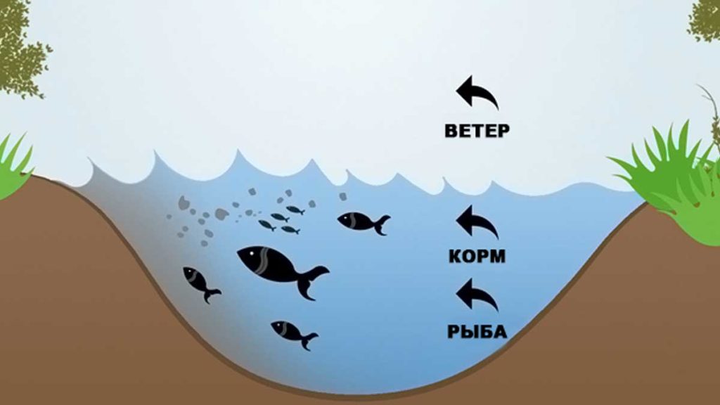 Влияет ли направление ветра на ловлю карпа?