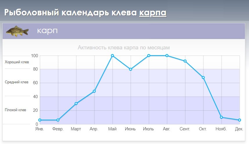 Календарь поклевки карпа