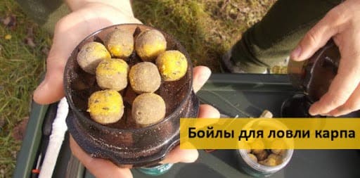 Ловим карпа на бойлы